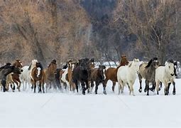 九游体育娱乐-2077黑拳河谷区捡不了枪